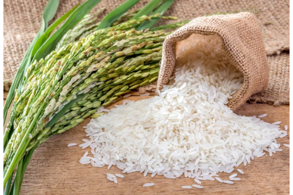 அரிசியை அதிக விலைக்கு விற்கும் நபர்களுக்கு ஆப்பு | Wedge For People Who Sell Rice At High Prices