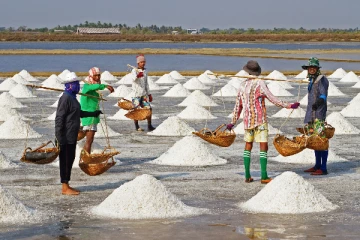 ලුණු කන ඔබ කන්නේ මොන ලුණුද කියලා දැනගන්න කියවිය යුතුම ලිපියක්…