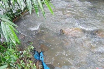 வெல்லவாய பகுதியில் பெரும் சோகம்: ஒரே குடும்பத்தை சேர்ந்த மூவர் பலி