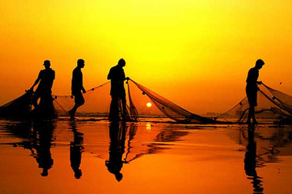 இலங்கை மீனவர்கள் மூவர் தமிழகத்தில் தஞ்சம்! | Three Sri Lankan Fishermen Refuge In Tamil Nadu
