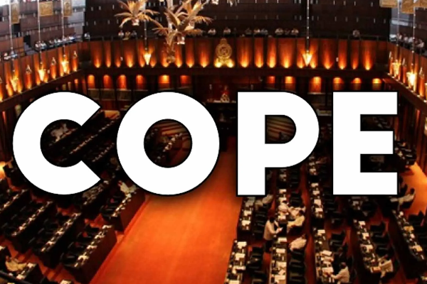 சிறிலங்க நாடாளுமன்ற புதிய நியமனங்கள் | Sri Lanka Parliament Cope New Members