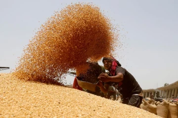இந்திய கோதுமைக்கு தடை! பிரபல வளைகுடா நாடு திடீர் அறிவிப்பு