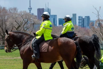 3 வாரங்களில் 1,000 வழக்குகள்... ரொறன்ரோ பொலிசார் தகவல்