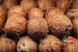 ඉස්සරහට පොල් කාලත් ඉවරයි - පොල් මිල ඉහළට