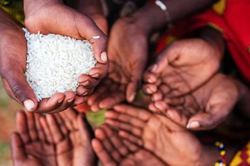 உக்ரைன் போரால் உலக நாடுகளுக்கு பாரிய உணவுப்பஞ்சம் ஏற்படவுள்ளதா?