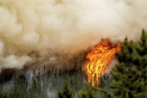 கனடாவில் மேலுமொரு தீயணைப்புப் படைவீரர் பலி | Firefighter Killed While Battling Donnie Creek