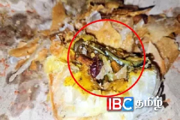 தெலுங்கானா மாநிலத்தில் பணிஸில் இறந்து கிடந்த பாம்பு: வாங்கியவருக்கு ஏற்பட்ட அதிர்ச்சி