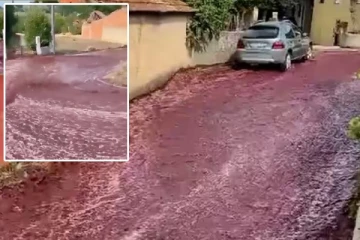 போர்ச்சுக்கல் நாட்டில் நதியாய் ஓடிய சிவப்பு ஒயின்: 2 மில்லியன் லிட்டர் மதுபானம் சாலையில் வழிந்தோடிய வீடியோ