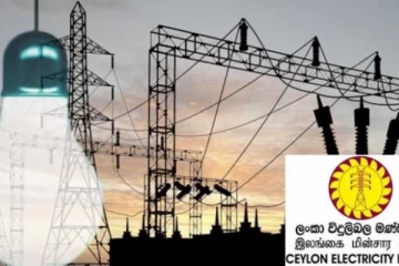 ආර්ථිකය වර්ධනය කරන්න ගේන අලුත්ම කාර්යය