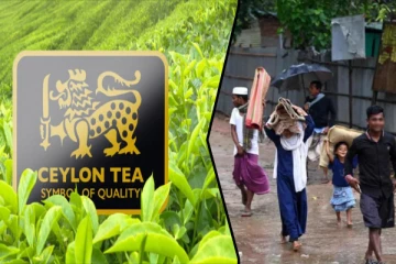 மியன்மார் சூறாவளியில் பாதிக்கப்பட்டோருக்கு இலங்கை வழங்கியுள்ள அன்பளிப்பு