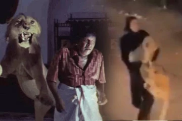 சிங்கத்துக்கு உண்டான மரியாதையை போச்சு! இவங்கதான் சிங்கப்பெண்