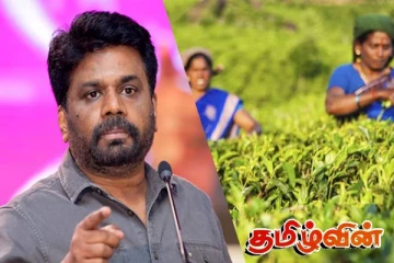 அநுர மீது மலையக மக்களின் நம்பிக்கை! புதிய அமைச்சர் வழங்கியுள்ள உறுதி மொழி