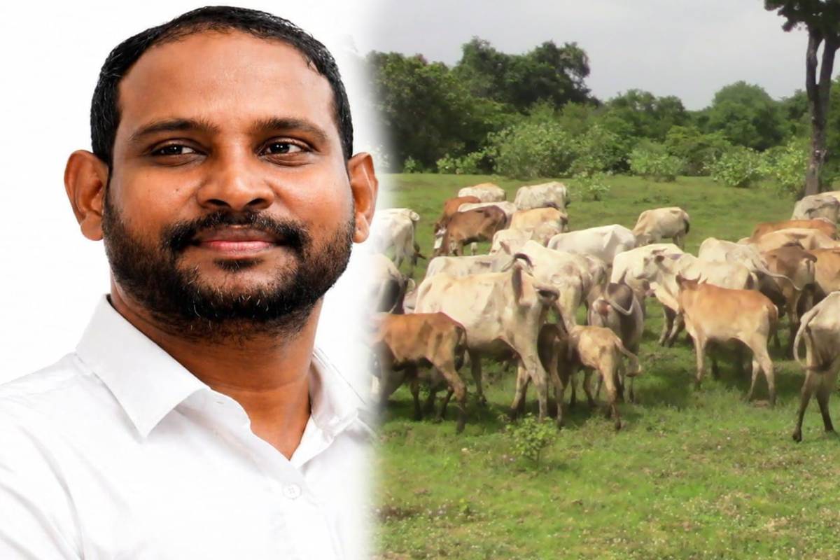 மயிலத்தமடு காணி விவகாரத்தில் அரசின் நகர்வு! எழுந்துள்ள சந்தேகம்.. | Is Government Trying Communal Nilandhan Question மயிலத்தமடு காணி விவகாரத்தில் அரசின் நகர்வு! எழுந்துள்ள சந்தேகம்.. | Is Government Trying Communal Nilandhan Question