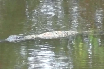 புத்தளம் மக்களுக்கு எச்சரிக்கை
