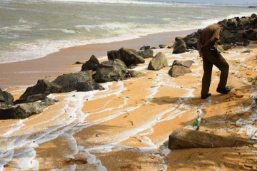 கப்பலில் ஏற்பட்ட தீப்பரவல் காரணமாக ஏராளமான கடல் வாழ் உயிரினங்கள் உயிரிழப்பு
