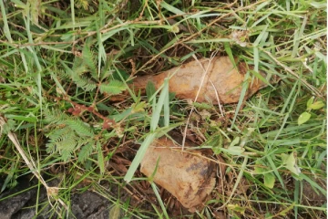 முல்லைத்தீவில் கைவிடப்பட்ட நிலையில் வெடிபொருட்கள்