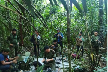 அமேசன் காட்டில் 40 நாட்கள் சிக்கிய நான்கு சிறுவர்கள்; உயிர் பிழைக்க என்ன சாப்பிட்டார்கள்?