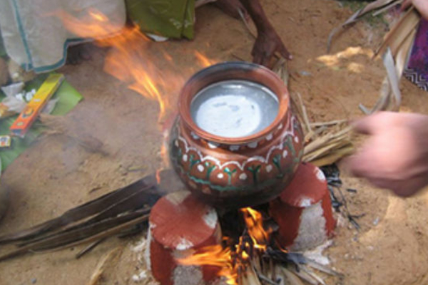 2026 பொங்கல்: தவறியும் இந்த திசையில் மட்டும் வைத்து விடாதீர்கள் | Best Direction To Place Pongal Pot According Vastu