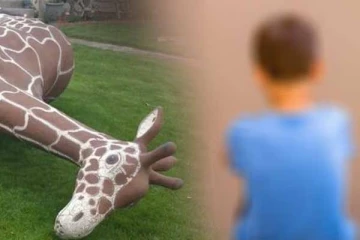 கொங்கிரீட் சிலை விழுந்து சிறுவன் பரிதாப மரணம்