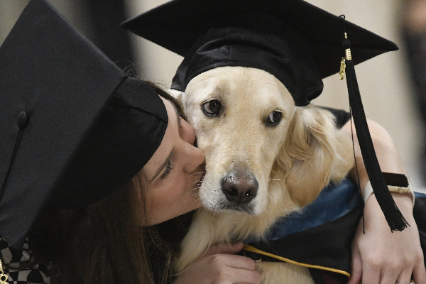 நாய்களுக்கு பட்டமளிப்பு விழா நடத்திய நாடு! | The Country Held Graduation Ceremony For Dogs