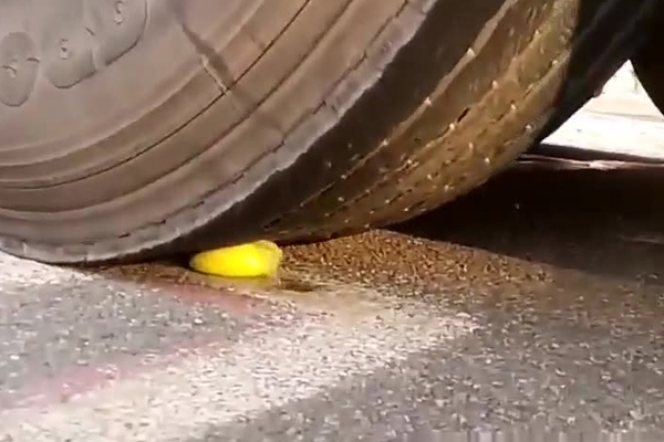 எலுமிச்சை பழத்தை வீட்டு வாசலில் வைப்பதால் திருஷ்டி நீங்குமா? | Lemons At Door Of The House Get Rid Of Bad Luck
