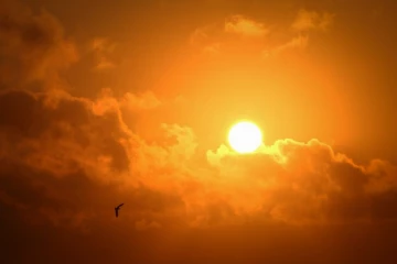 அதிகரிக்க போகும் வெப்பம்...அடுத்த 3 நாட்களுக்கு வெளியே போகதீங்க..!