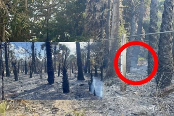 மன்னாரில் தீ விபத்து : பல ஏக்கர் காடுகள் எரிந்து நாசம்(படங்கள்)