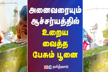 அனைவரையும் ஆச்சர்யத்தில் உறைய வைத்த பேசும் பூனை - பொதுமக்கள் அதிர்ச்சி