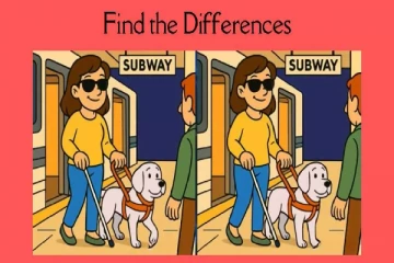 கண்தெரியாமல் நாயுடன் செல்லும் பெண்: இந்த படத்தில் இருக்கும் 3 வித்தியாசங்கள் என்ன?