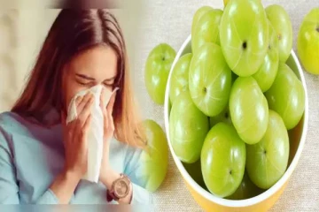 குளிர்காலத்தில் சளித்தொல்லைக்கு முற்றுப்புள்ளி வைக்கணுமா? அப்போ நெல்லிக்காய் போதும்