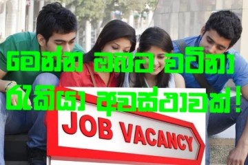 ලක්ෂ 02කට වඩා වැඩි වැටුපක් හිමිවන වටිනා රැකියා අවස්ථාවක්..අයදුම් කරන විදිය මෙන්න.