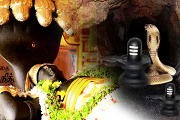 புற்றிலிருந்து வந்த கடவுள்! வசந்த மண்டப வாசலுக்கு வந்து மறைந்த சர்ப்பம் - கொழும்பில் அதிசயம் மிக்க ஆலயம்