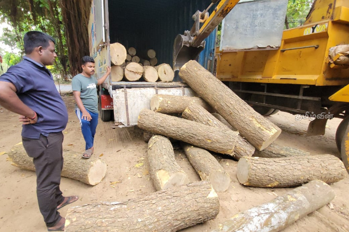 10 இலட்சம் பெறுமதியான மரக்குற்றிகளை கடத்தியவர் கைது - தீவிரப்படுத்தப்படும் சோதனை நடவடிக்கை | Man Arrested For Smuggling Logs Worth Rs 1 Million