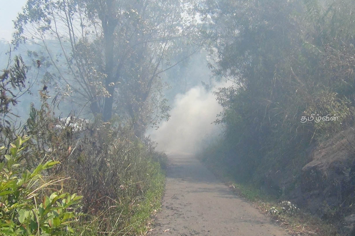 டெவோன் நீர்வீழ்ச்சி சுற்றுவட்டப் பகுதியில் தீப்பரவல்! | Fire Spreads Around Devon Falls
