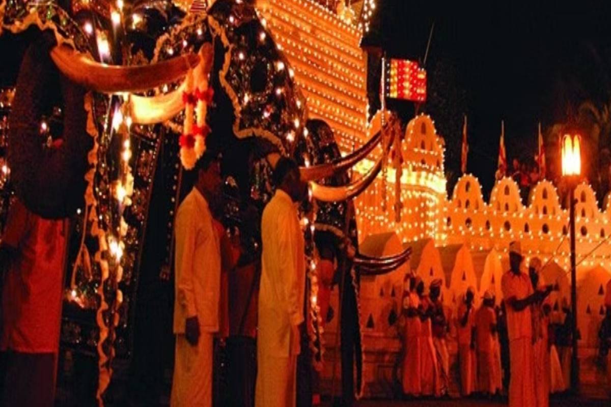 அதிகாலை பெரஹர யானையினால் ஏற்பட்ட பெரும் பதற்றம் - இருவர் பரிதாபமாக பலி | Elephant Attack By Elephant Brought To Procession