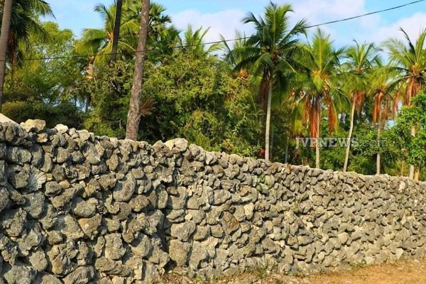 வடமாகாணத்தின் ஓர் சிறந்த சுற்றுலாத்தலமாக விளங்கும் நெடுந்தீவு! சுவாரஸ்ய தகவல் | Nedundivu Is One Of The Best Tourist Place North
