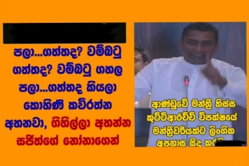 වම්බටු, ගහල,පලා.. ගත්ත කතාවෙන් පාර්ලිමේන්තුව උණුසුම් වෙයි. ප්රභල මන්ත්රීවරියක් කියූ දේ..(VIDEO)