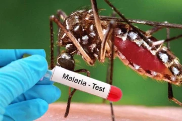 இலங்கையை மீண்டும் அச்சுறுத்தும் மலேரியா!