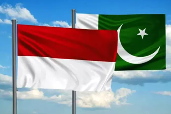 பாகிஸ்தான்-இந்தோனேசியா இடையே 7 ஒப்பந்தங்கள் கையெழுத்து | Pakistan Indonesia Sign 7 Agreements பாகிஸ்தான்-இந்தோனேசியா இடையே 7 ஒப்பந்தங்கள் கையெழுத்து | Pakistan Indonesia Sign 7 Agreements