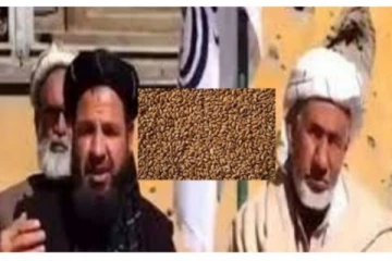 ‘நீங்கல்லாம் என்னய்யா..இந்தியா தான் பெஸ்ட்டு’ - இந்தியாவை பாராட்டி தள்ளிய தலிபான்கள் : காரணம் என்ன?