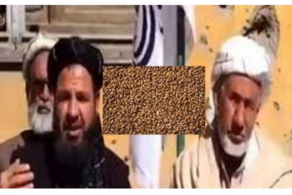 ‘நீங்கல்லாம் என்னய்யா..இந்தியா தான் பெஸ்ட்டு’ - இந்தியாவை பாராட்டி தள்ளிய தலிபான்கள் : காரணம் என்ன? - தமிழ்நாடு