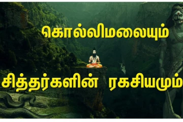 தினமும் இரவு 18 சித்தர்கள் வந்து வழிபாடு செய்யும் சிவலிங்கம்- மர்மமும் அதிசயங்களும்