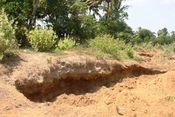மருதங்கேணியில் மணல் அகழ்விற்கு புதிய அனுமதி! தகவல் அறியும் சட்டத்தின் மூலம் வெளியான தகவல்
