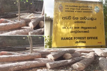 யாழில் சட்டவிரோத செயலில் ஈடுபட்ட இருவர் கைது