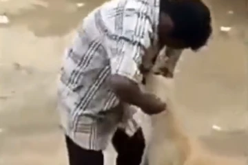 நாயை கொடுமைப்படுத்திய நபரை அடுத்த நொடியே பலி வாங்கிய பசு மாடு! இது தான் சரியான தண்டனை