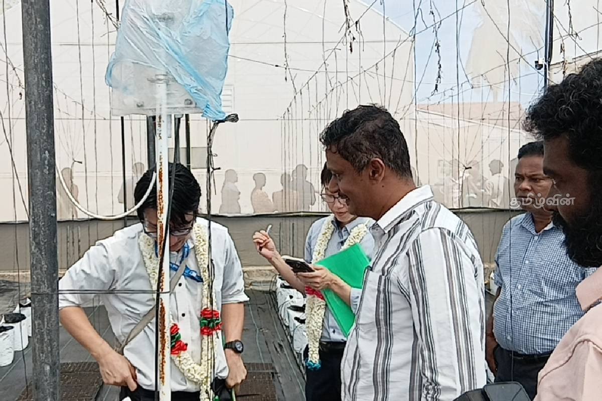 கிளிநொச்சி - பிரமந்தனாறு விவசாய பண்ணைக்கு ஜப்பானிய தூதுவர் உத்தியோபூர்வ விஜயம் | Japanese Ambassador Visit Pramanthanaru Farm கிளிநொச்சி - பிரமந்தனாறு விவசாய பண்ணைக்கு ஜப்பானிய தூதுவர் உத்தியோபூர்வ விஜயம் | Japanese Ambassador Visit Pramanthanaru Farm