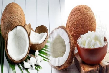 வெறும் வயிற்றில் தேங்காய் சாப்பிட்டால் இவ்வளவு நன்மைகளா? இனிமேல் மிஸ் பண்ணாதீங்க