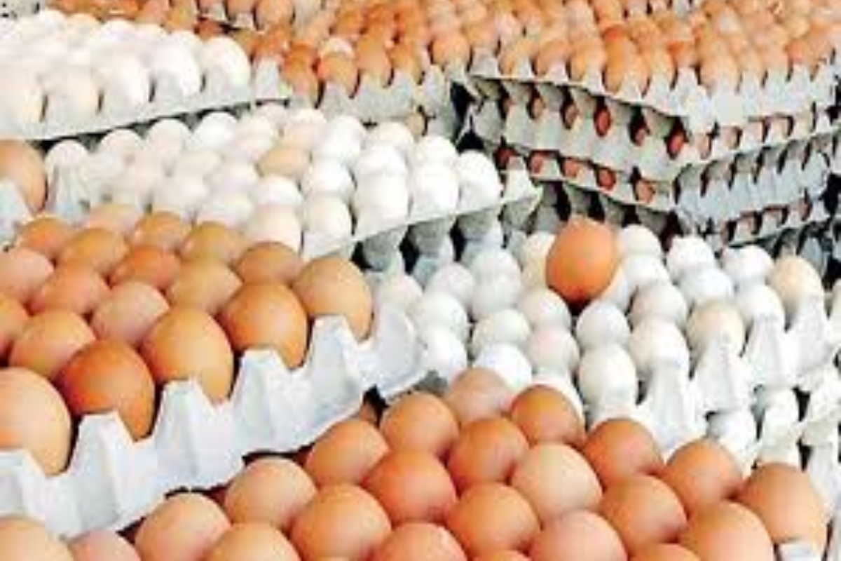 முட்டை விலை தொடர்பில் விடுக்கப்பட்ட கோரிக்கை | Egg Producers Demand Minimum Price