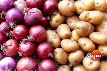 අල - ලූනු ප්‍රශ්නයට රජයේ විසඳුම මෙන්න