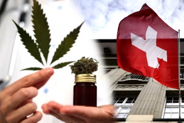 சுவிட்சர்லாந்தில் முதல் முறையாக கஞ்சா பயன்படுத்த சட்டபூர்வ அனுமதி!